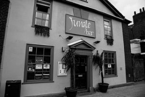 Jungle Bar